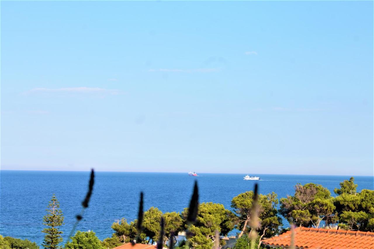 Sea View Apartment 15 Min From Athens Airport Néa Mákri Dış mekan fotoğraf