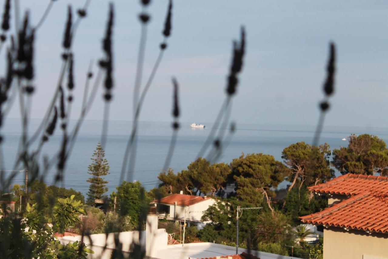 Sea View Apartment 15 Min From Athens Airport Néa Mákri Dış mekan fotoğraf